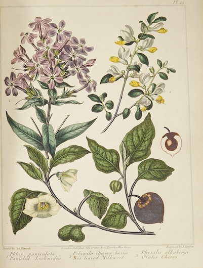 Dickson, Richard Watson (‘’McDonald, Alexander’’) - A Complete Dictionary of Practical Gardening: comprehending all the Modern Improvements in Art, 2 vols, 4to, calf, with 60 hand-coloured engraved plates, by F. Sansom,